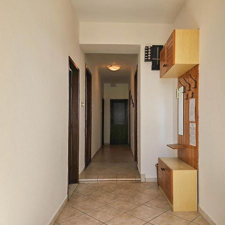 Stelia F. Apartment Novigrad  ภายนอก รูปภาพ