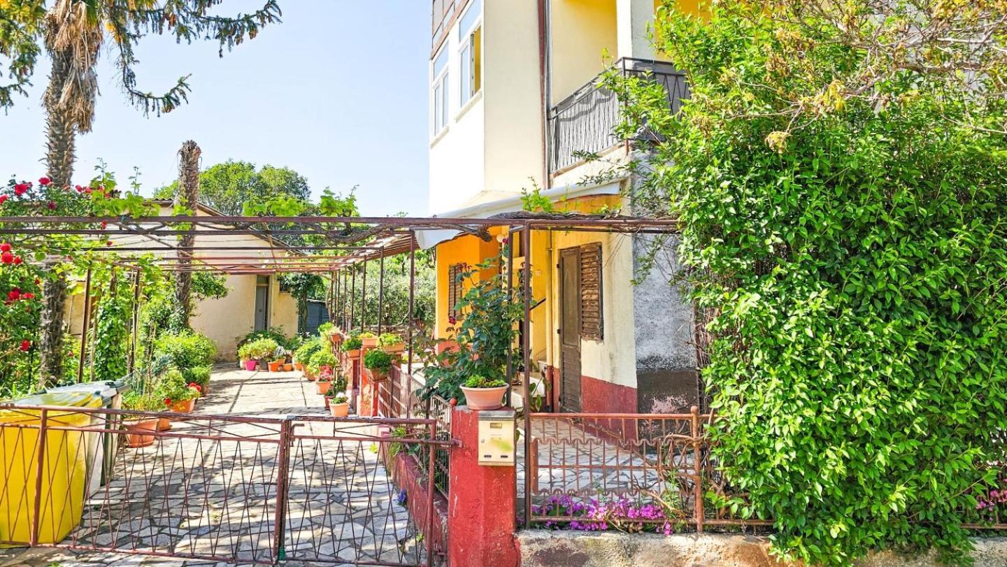 Stelia F. Apartment Novigrad  ภายนอก รูปภาพ